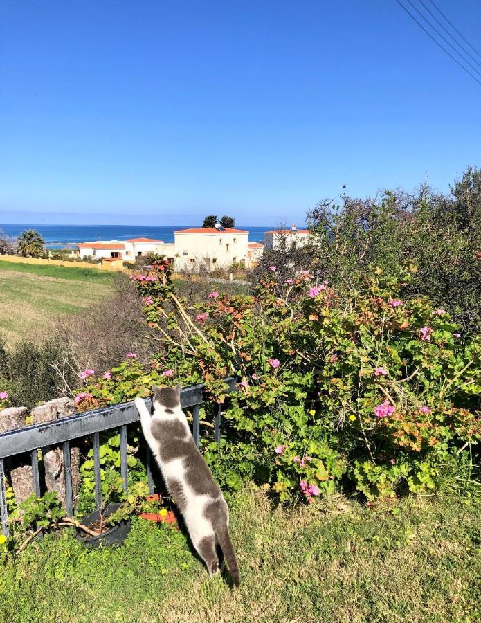 White House Studio With Sea View And Parking Polis Extérieur photo